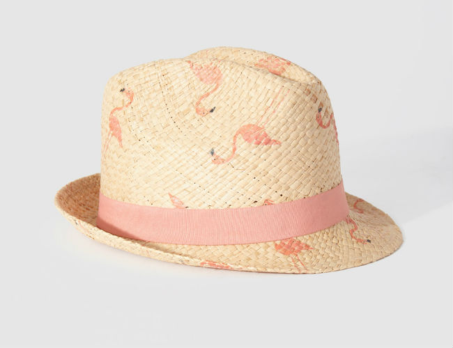 ac primavera 2015 1 sombrero animales