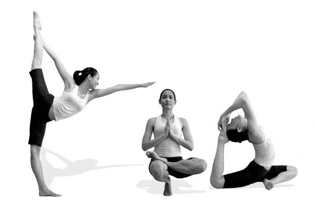 yoga primv 2015 8