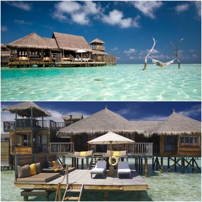 HOTEL MALDIVAS