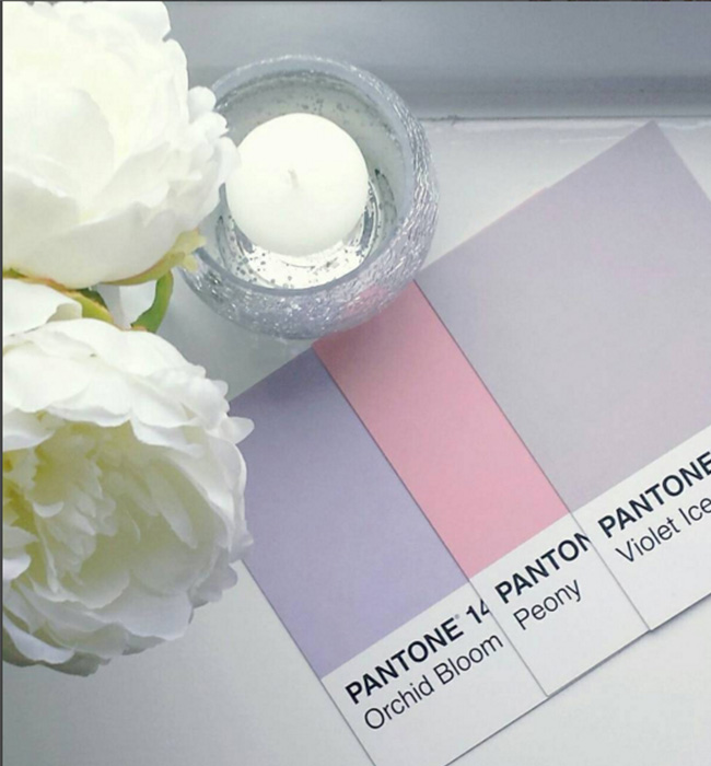 pantone6