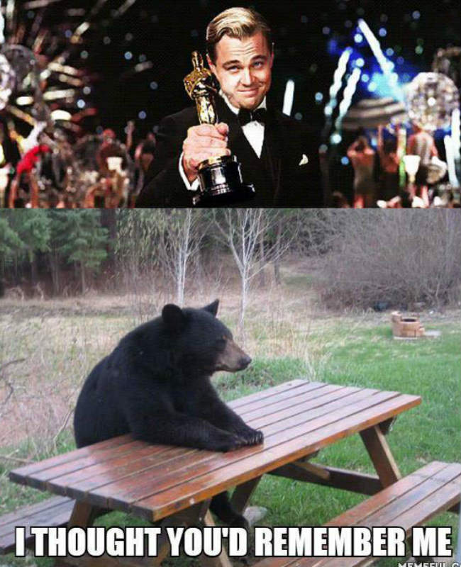 MEMES OSCAR 2016 7