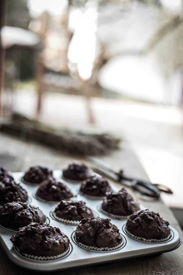 muffins de chocolate negro en bandeja