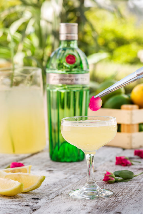 coctel fragance martini