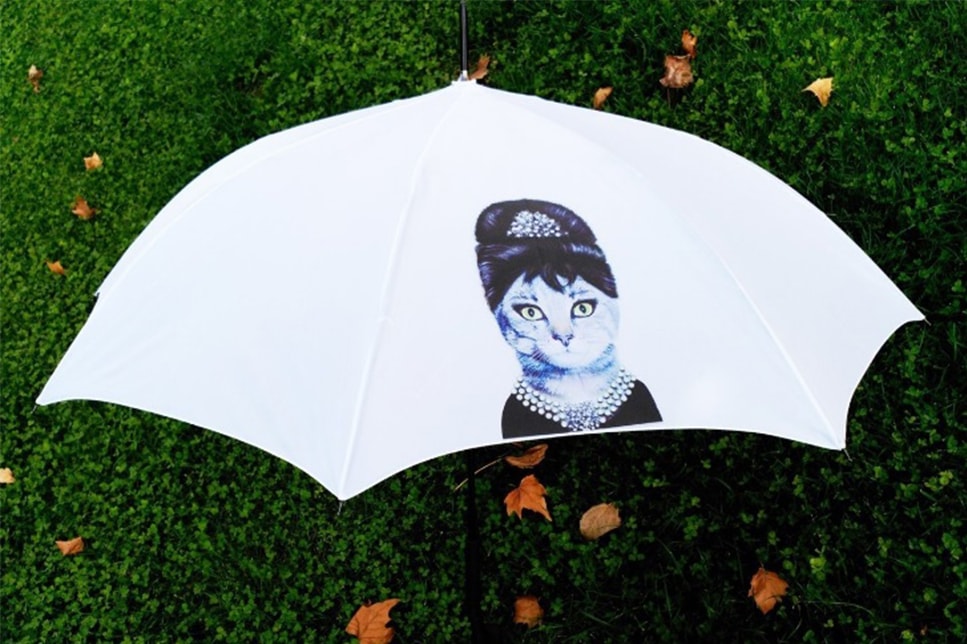 paraguas gato