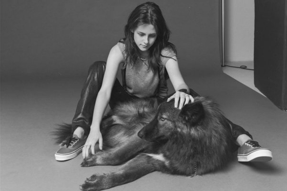 Kristen Stewart mascota lobo