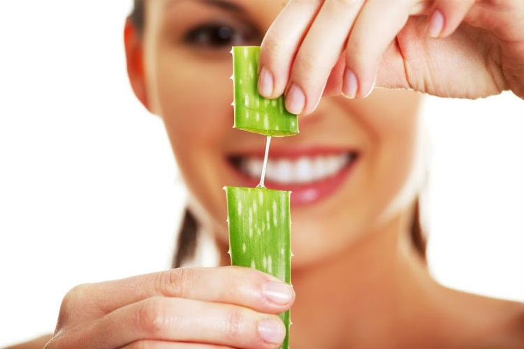 ¿Para qué es bueno el Aloe Vera?