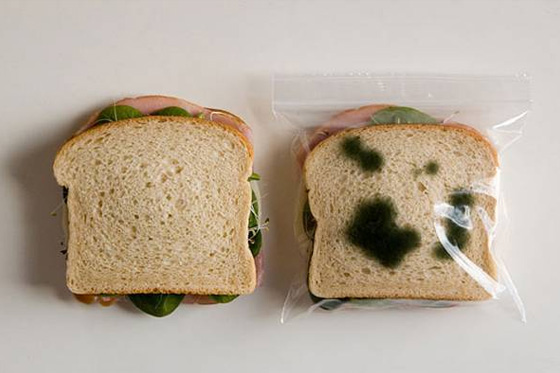 Invento raro bolsa sandwich podrido