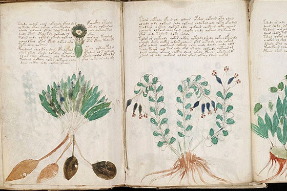 mitos incertidumbres manuscrito voynich