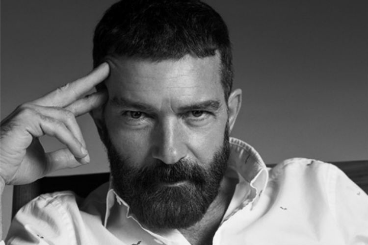 antonio banderas selected homme