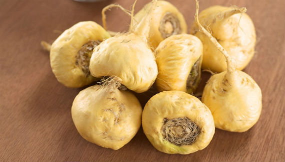 maca andina tuberculo