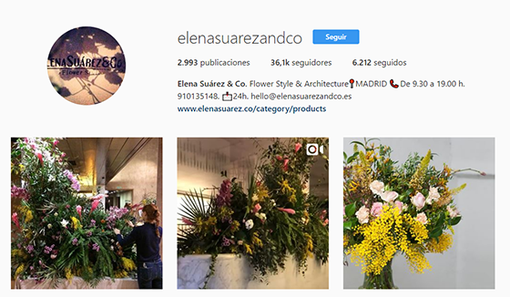 cuenta instagram boda Elena Suárez