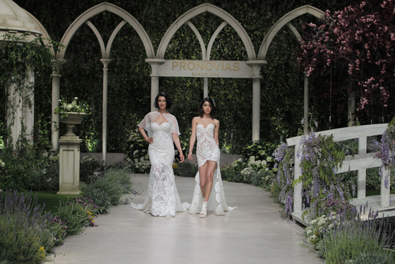pronovias coleccion 2019