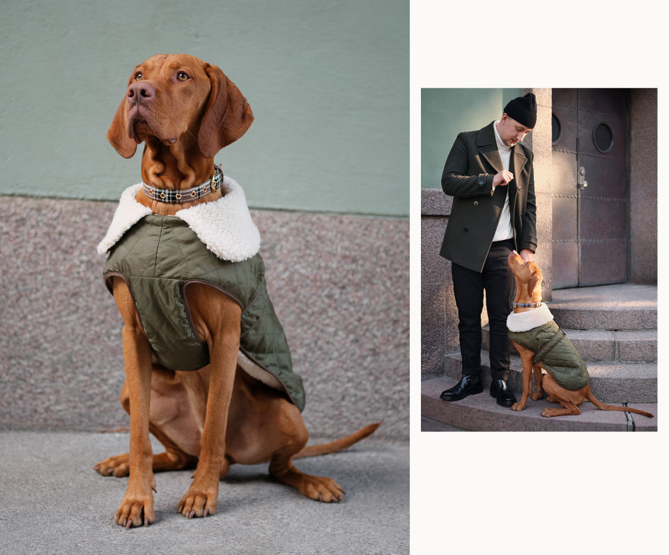 vestidos perro H&M