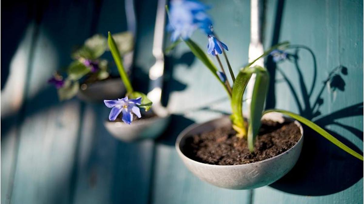 Jardín vertical macetas colgadas