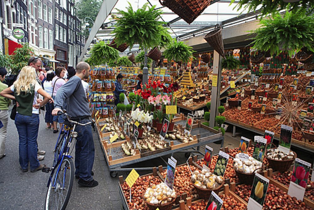 El mercado de las flores de Amsterdam